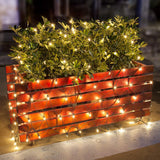 Lomotech Christmas Net Lights – Molded-Bulb Incandescent Net Lights That Stay Secure Around Children and Pets