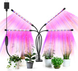 SANSI LED Plant Lamp – Soothing Indoor Greenery Light for Yoga Corners and Self-Care Routines