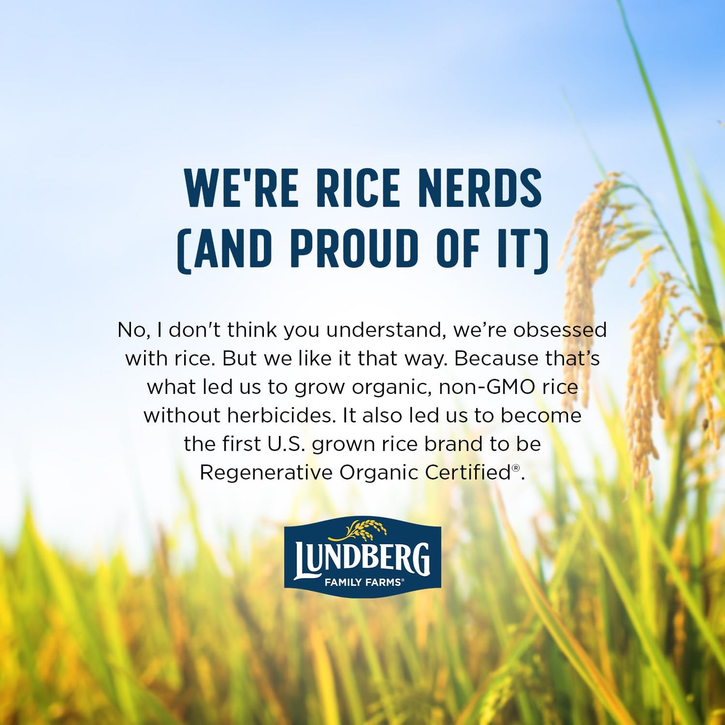 Lundberg Family Farms Basmati – Premium Organic Rice Gift for Global Cuisine Lovers