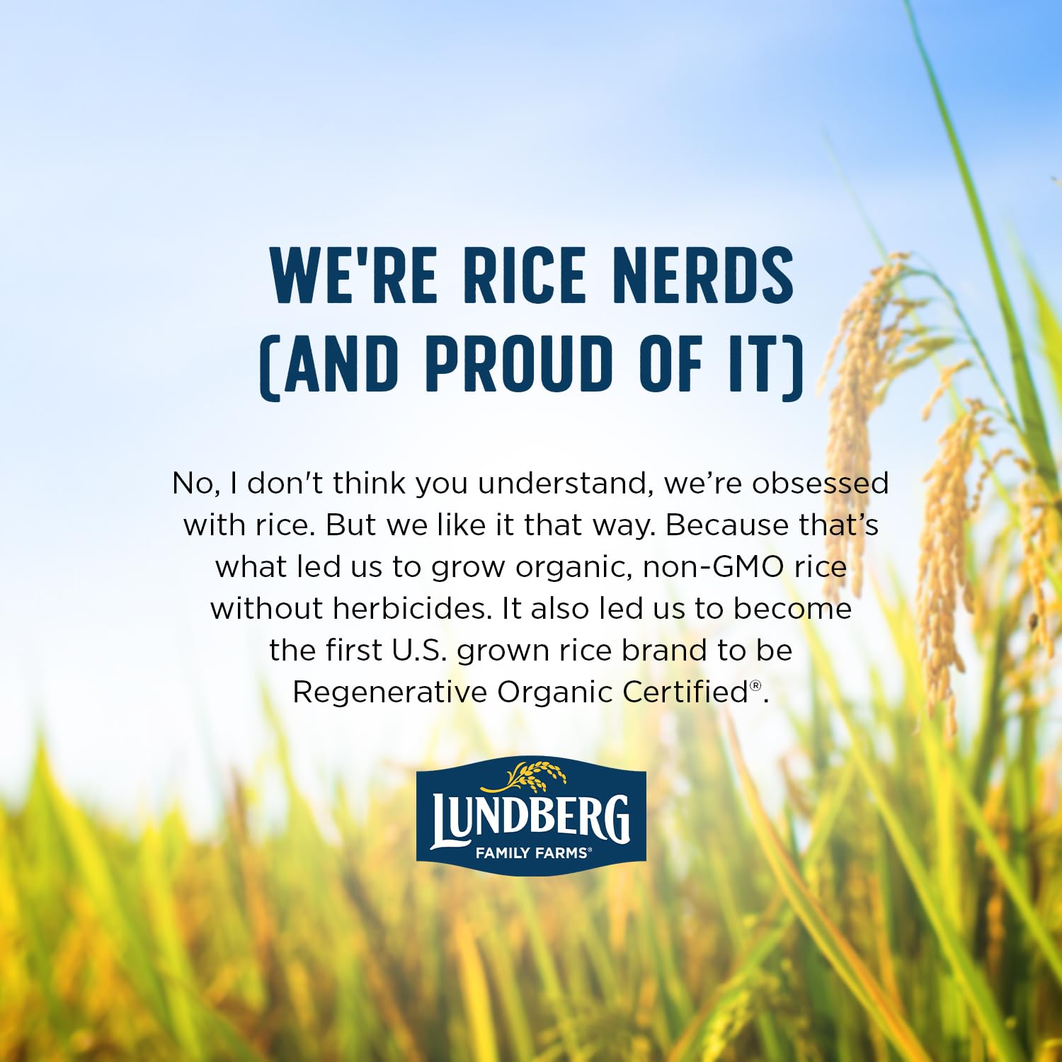 Lundberg Family Farms Basmati – Premium Organic Rice Gift for Global Cuisine Lovers