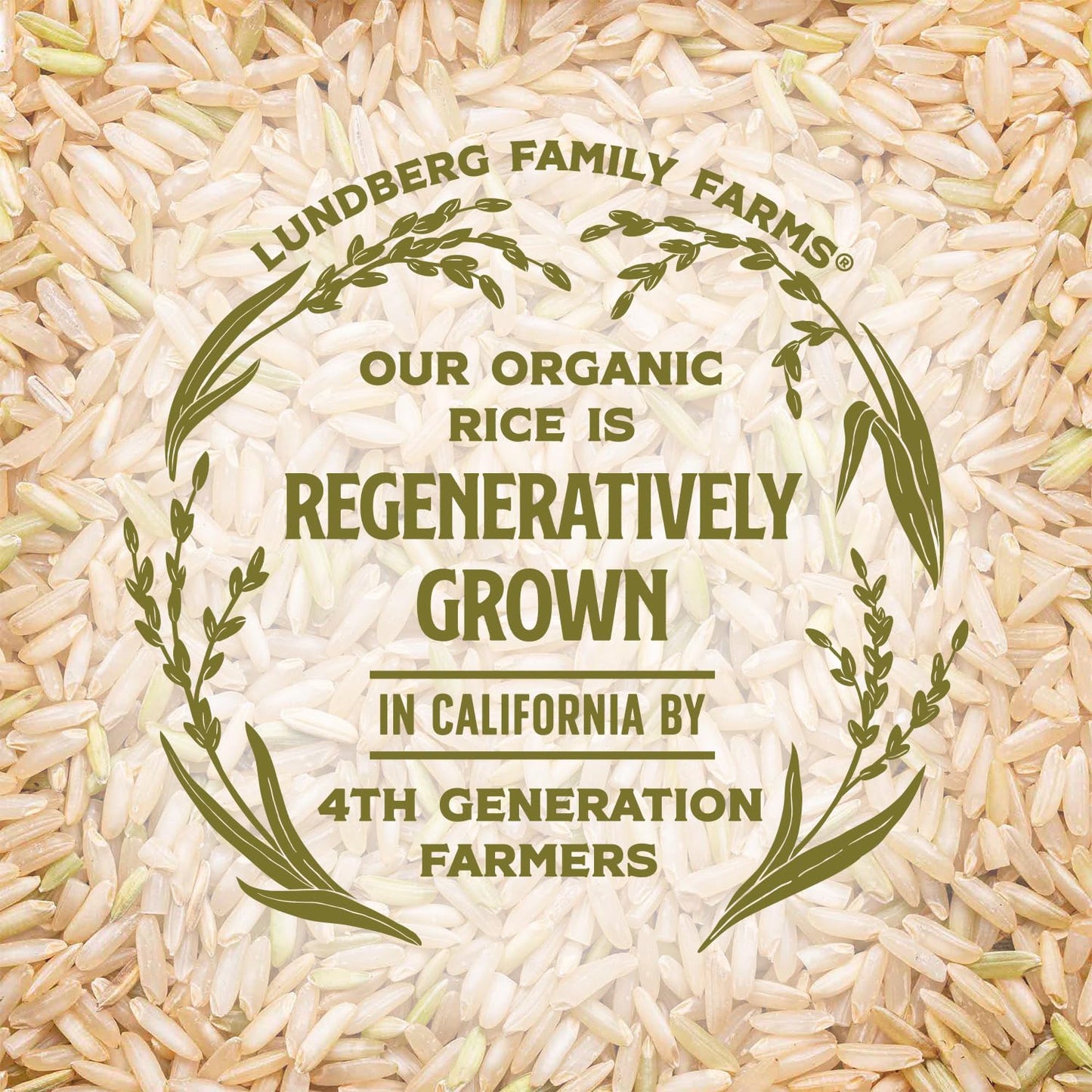 Lundberg Family Farms Basmati – Premium Organic Rice Gift for Global Cuisine Lovers