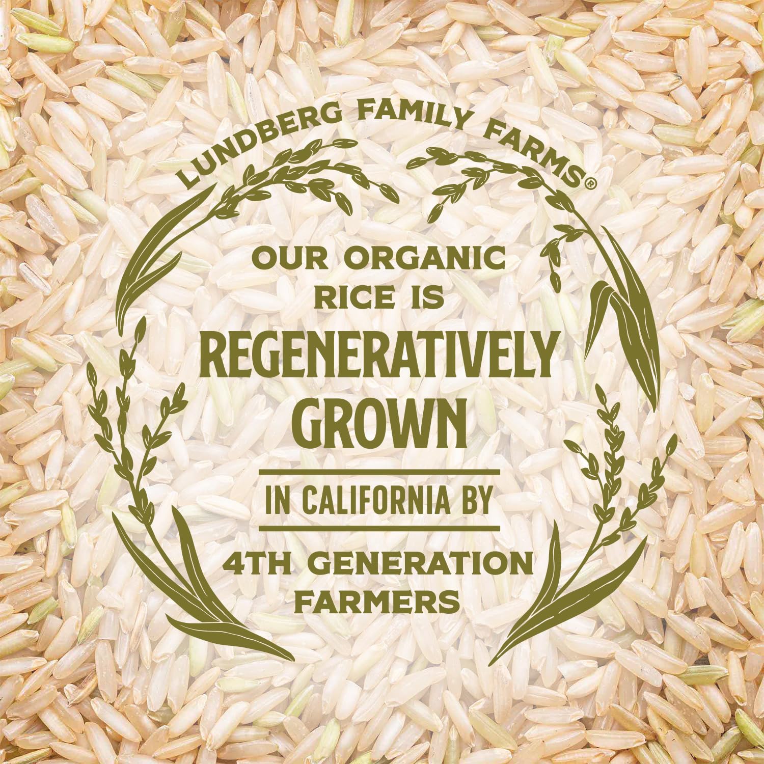Lundberg Family Farms Basmati – Premium Organic Rice Gift for Global Cuisine Lovers
