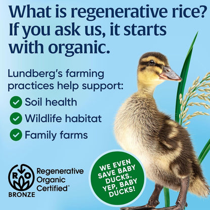 Lundberg Non-GMO Rice for Allergy-Sensitive Family Meals
