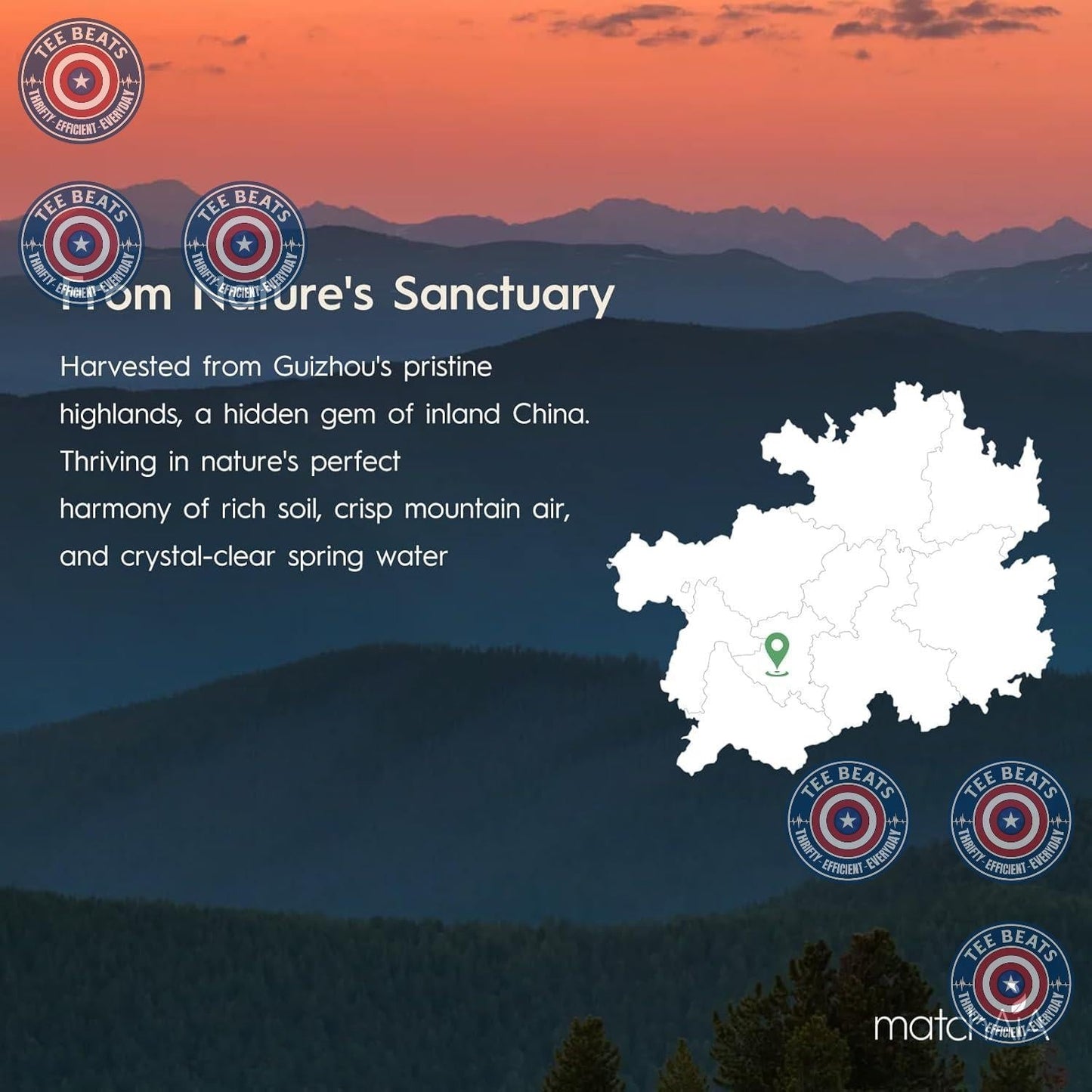MatchAiA USDA Matcha – Ready-to-Give Gift Set Alternative for the Wellness Lover on Your List