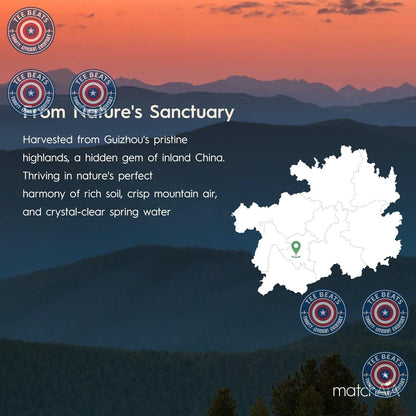 MatchAiA USDA Matcha – Ready-to-Give Gift Set Alternative for the Wellness Lover on Your List