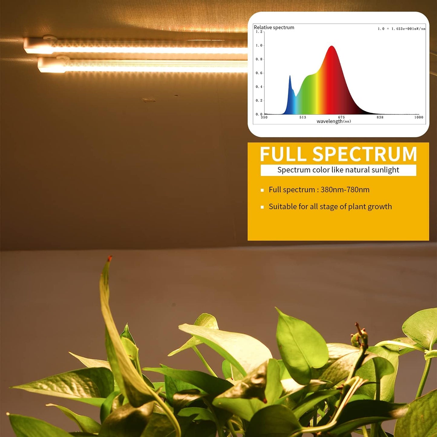 MossyCove Indoor Grow Light – Less-Is-More Design for Intentional Plant Corners, Single Plug Setup