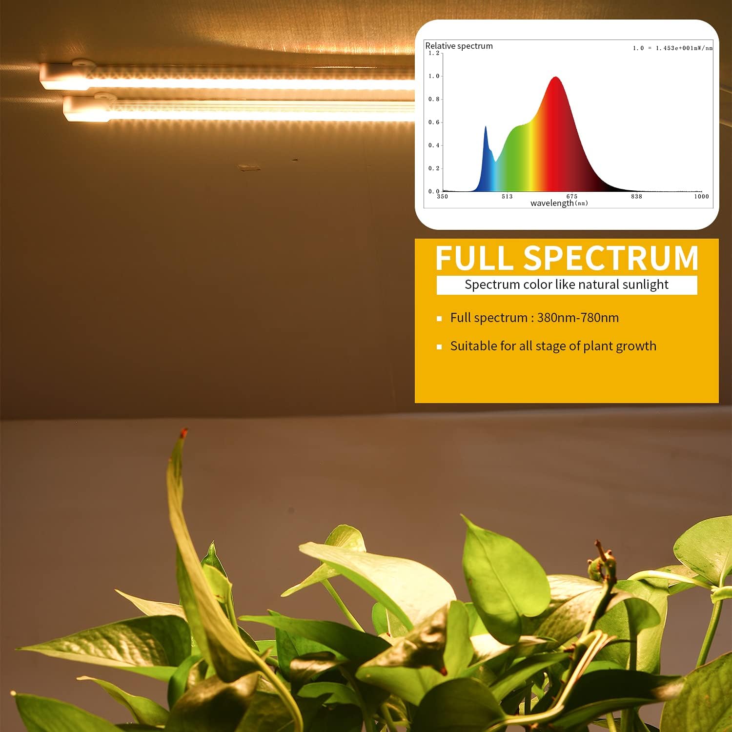 MossyCove Indoor Grow Light – Less-Is-More Design for Intentional Plant Corners, Single Plug Setup