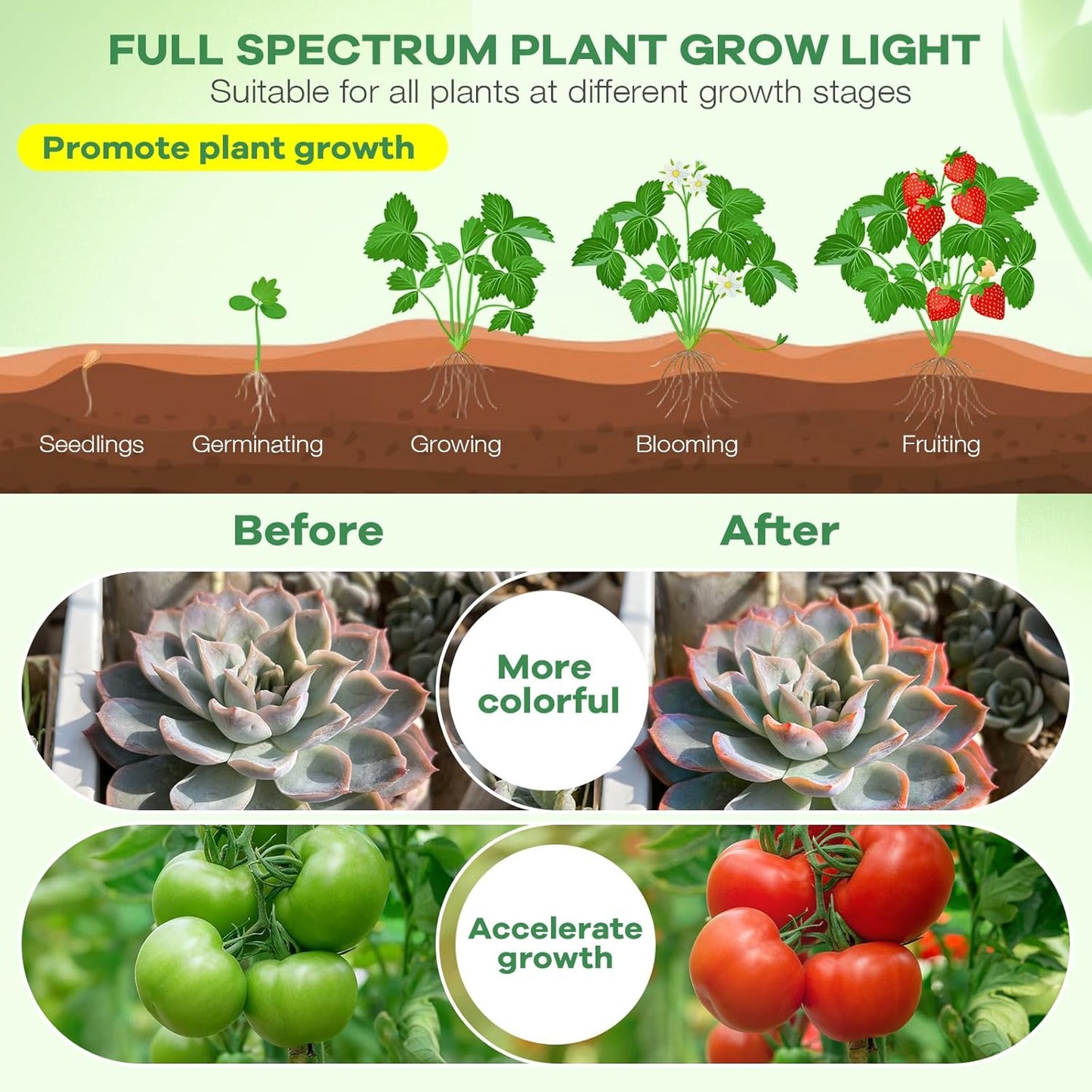 SANSI LED Plant Lamp – Soothing Indoor Greenery Light for Yoga Corners and Self-Care Routines