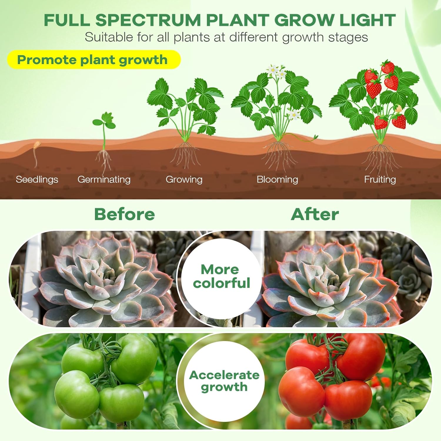 SANSI LED Plant Lamp – Soothing Indoor Greenery Light for Yoga Corners and Self-Care Routines