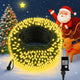 Warm White - 264FT 800LED