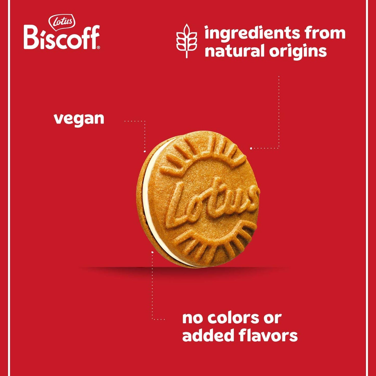 three flavor variants available: vanilla, biscoff cream, and milk chocolate